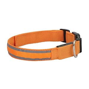 Hengu LED Collar para Perros, USB Recargable Iluminado Collar para Perros, Mascotas, Cachorros, con Rayas Reflectantes y Hebilla Ajustable garantizar la Seguridad Nocturna