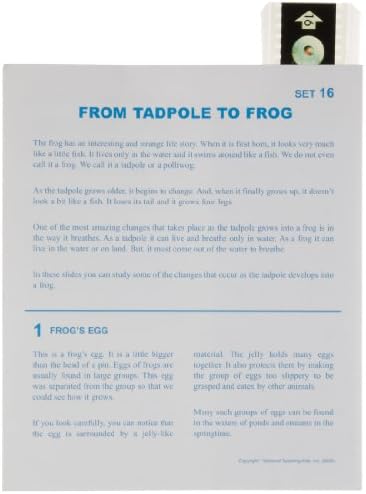 NTA Animal From Tadpole to Frog Microslide