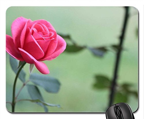 Preisvergleich Produktbild Pink rose Mouse Pad, Mousepad (Flowers Mouse Pad)