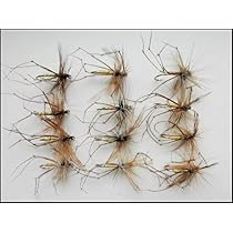 Lot De Mouches Manne Pour Pêche à La Mouche – Taille 8/10, Boîte Multi-section Incluse, Couleurs Variées, Truite