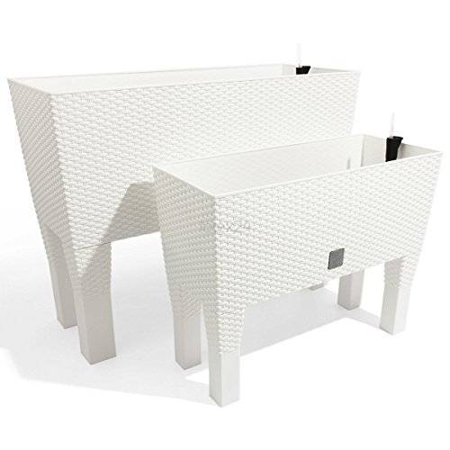 Zanvic Rato Jardinera, Blanco, 60X25X46 cm: Amazon.es: Jardín