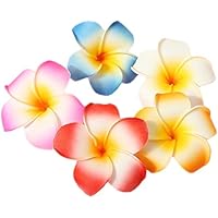 Suchergebnis auf Amazon.de für: Hawaii - Wohnaccessoires & Deko / Möbel