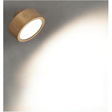 BIGLIGHT Draadloze led-beeldlamp met afstandsbediening, draaibare