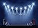 Produktbild Poster-Bild 130 x 100 cm: "Boxing ring and floodlights , Boxing event arena", Bild auf Poster