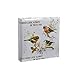 Arpan Cream Large Slip In Memo Photo Album 200 6x4 Photos - Vintage Birds