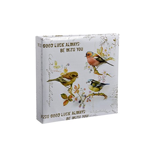 Arpan Cream Large Slip In Memo Photo Album 200 6x4 Photos - Vintage Birds