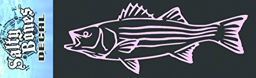 Preisvergleich Produktbild Salty Bones BP2498R 4670-0278 Gestreifte Barschangausrüstung