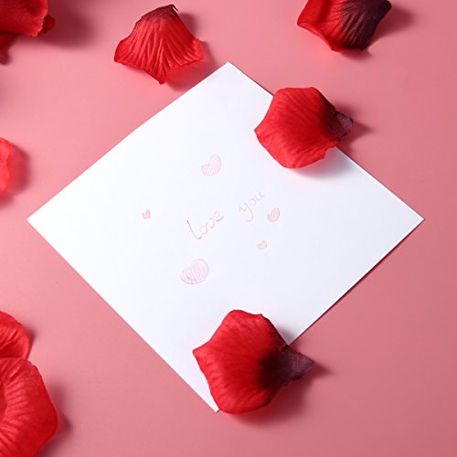 ROSENICE 10Pcs Hochzeit Einladungskarten – aushöhlen dekoratives Muster (weiß) - 6