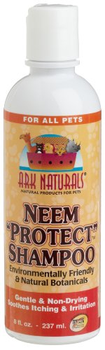 Arca Naturals Neem Protect Champú, 8 FZ