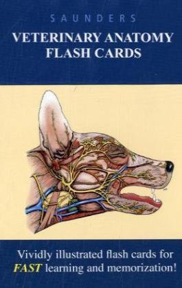 Download Book Download Saunders Veterinary Anatomy Flash Cards 1e Best Seller By Saunders Tixerghj02528ox