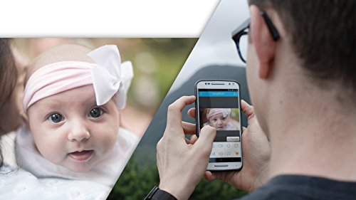 Asequible Foscam FI9901EP BulletCamera 4Mp 1080P POE IP66 Cámara de
seguridad IP Interior y exterior Bala 2560 x 1440Pixeles - Cámara de
vigilancia (Cámara de seguridad IP, Interior y exterior, Bala,
Techo/pared, Resistente al polvo, Resistente al agua, IP66) En línea