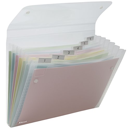 Rexel Ice - Carpeta clasificadora para documentos DIN A4 con 6
compartimentos transparente