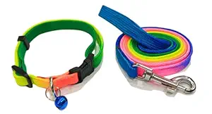 RvPaws 1/2 INCH Rainbow Color Designed Belt for Your Puppy & Small Dog Collar Belt, Dog Collar & Leash (Small, Multi Color)