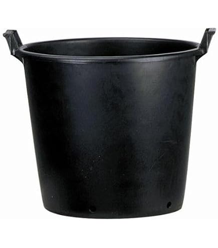 Macetón Grande De Exterior 160 Litros - Sin Asas, 75x51 Cm, Polietileno Reciclado, Resistente A Rayos UV