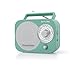 Price comparison product image Muse Portable Radio M-055RG AUX in