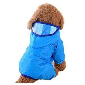 BIGBOBA Abrigo, 1 Pieza, para Mascotas, Gatos, Perros, para la Lluvia, Deportivo, con Capucha, Adecuado para Gatos y Perros pequeños y medianos, Ropa Impermeable, Azul (XS)
