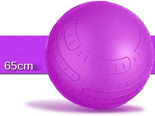Neily- Exercise Ball 65cm Fitness Yoga Ball Anti-Burst Core Strength Stability Balance Swiss Ball Slip Resistant Extra Thick Heavy Duty Anti-Burst Pilates or Birthing Therapy Ball for Ab Training Gym Stability Home Office Exercise Ball Chair ( Color : Purple )