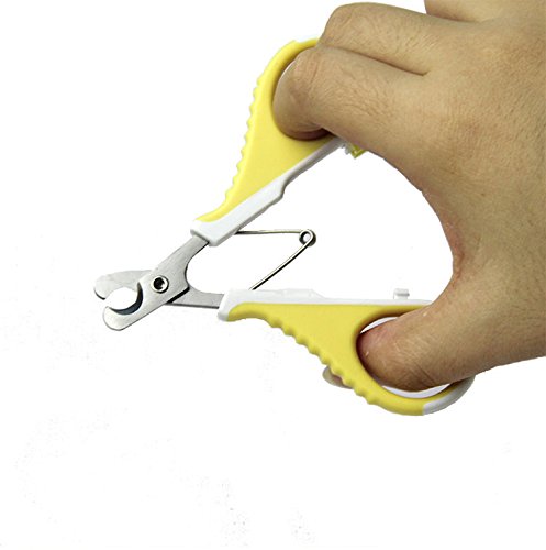 AIDIYA-Coupe-ongles-pour-chats-Ongles-de-chat-Tondeuse-professionnelle-pour-chats-et-petits-chiens-de-race-galement-pour-les-petits-animaux-chiots-oiseaux-lapins-cochons-dInde-Facile-et-sr--utiliser-l