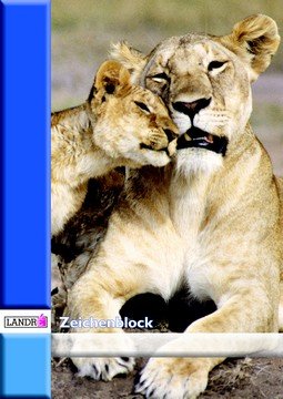 Landre 390401005/100050438 Zeichenblock DIN A4, 100 g/qm, 10 Blatt