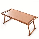 Mehrzweck: Dieser Klapptisch kann als Picknicktisch, Esstisch, Spieltisch und Outdoor-Esstisch verwendet werden.Geeignet für Picknicks, Strände, Partys, Angeln, Camping, Konzerte im Freien usw.