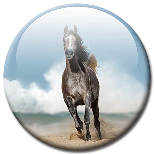 Magnettafel Pferd am Meer – Faszinierende Design Metall Magnettafel 60×40 cm – Pinnwand Memoboard mit Motiv: Pferd am Meer Ocean Horse – inkl. 6 Magnete Pferde am Meer Ocean Horses für Magnetwand – Original Magnetpinnwand GUMA Magneticum - 7