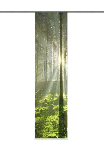 Home Fashion 87331-768 Schiebevorhang Digitaldruck "Stockholm", Deko, 245 x 60 cm, grün