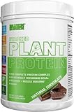 POTENTE NUTRIENTE DEPORTIVO | Hecho con una mezcla completamente natural de verduras y cargado con 1 millon de CFU de probióticos, nuestro delicioso polvo de proteína sabor a Chocolate (fácil de digerir y apto para veganos) le dará la energía que necesita para completar su día, ya sea que usted sea un profesional o un atleta dedicado.