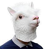El mejor regalo para el vestido encima de partidos, juego de papel, noche de víspera de todos los Santos, funcionamientos de la etapa, Cosplay y cosplayers, bola de la mascarada.