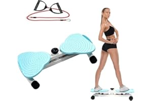 HoldOneLight Waist Twisting Disc, Exercise Equipment for Home use, Waist Sculptor Disc Twister, Waist Twisting Fitness Equiment Standing for Women