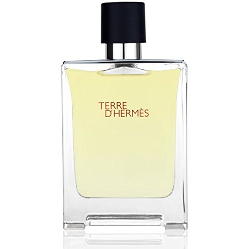 Preisvergleich Produktbild TERRE D'HERMES EDT VAPO 100 ML ORIGINAL