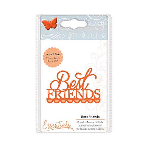 Tonic Studios Miniature Moments-Best Friends, Metal, Multi-Colour, 15.5 x 8.5 x 0.2 cm