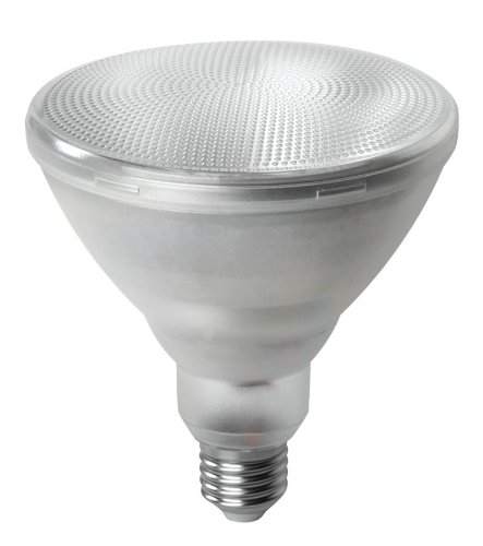 Preisvergleich Produktbild Megaman PAR38 15,5 Watt LED 2800 K, silber