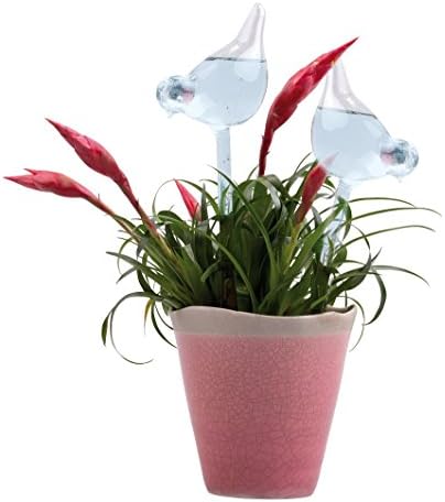 Glass Plant Watering Rod Watering Ball Water Dispenser for Flowers and Plants, Bird Motif Approximately 35 cm Set of 2