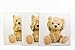 Set With 3 50 X 50 Teddy Bear Canvas