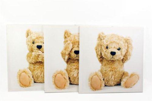 Set With 3 50 X 50 Teddy Bear Canvas