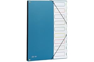 Carpeta clasificador tapa de plastico pardo folio -9 departamentos azul