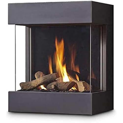 Suchergebnis auf Amazon.de für: gaskamin