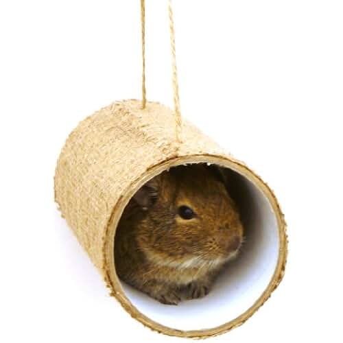 Amazon.fr cage a octodon