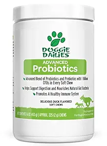 Doggie Dailies Probiotics For Dogs: 225 Soft Chews, Advanced Dog + Prebiotics, Relieves Diarrhea, Improves Digestion, Optimizes Immune System & Enhances Overall Health, Made In The Usa