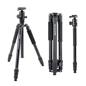 Fotopro X-Go Predator E 6ft Aluminum Professional Built in 2-in-1 Tripod + Monopod Stand with FPH-62Q Ball Head for DSLR Camera Payload 12kg (Black)