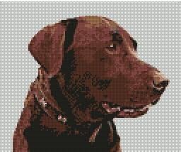 Chocolate Labrador Cross Stitch Kit 9" x 7.5" D2141