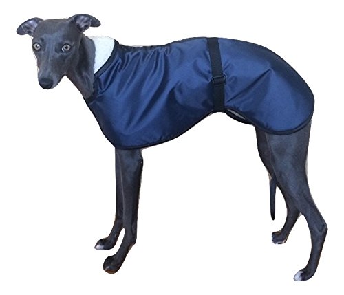 whippet wear