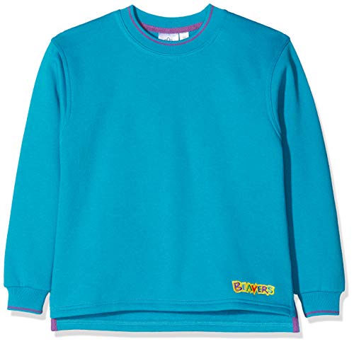 Beaver Tipped Boy's Sweatshirt ,Turquoise ,26