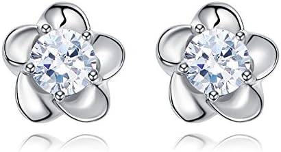 Retro Personality New Simple S925 Silver Womenswear Stud Earrings Earrings Fashion Popular