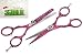 CANDURE® - Pink Zebra 5.5" Gift set Hairdressing & Hair Thinning Scissors Barber Salon Shears + Scissors Pouch (SAL-106)