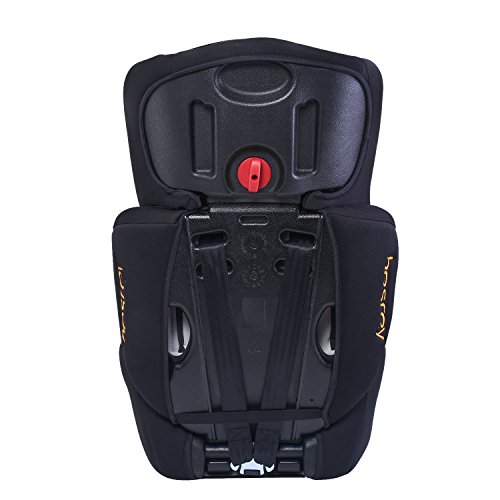 Besrey® Babyschale Babytrage Kinderautositz Gruppe 0+ (0-13 kg, 0-1 Jahre) nach ECE R44/04 - 7