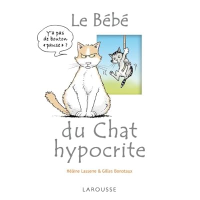 Le bébé du chat hypocrite