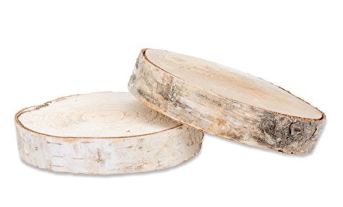 NaDeco® Birkenscheibe Ø10-15cm x 2cm | Holzscheibe | Baumscheiben | Birkenscheibe | Birkenstamm Scheiben | Birkenholz Deko | Holzscheibe zur Dekoration - 2