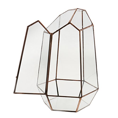 Irreguläre Mini Glasterrarium Geometrisches Glas Sukkulente Pflanzgefäß Haus Dekoration – 12 x 12 x 19cm - 6