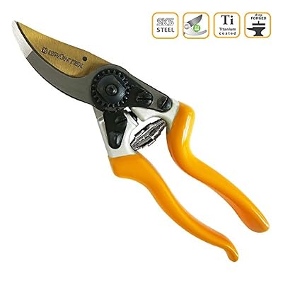 Grüntek Sécateur Forgé TITAN Z-25 de GRÜNTEK, modèle à coupe franche doté d’une lame en acier Forgé revêtement TITANE + revêtement anti-adhérence. GARANTIE SATISFAIT OU REMBOURSÉ, prix de lancement !!
